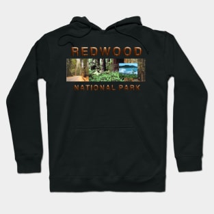 Redwood National Park Hoodie